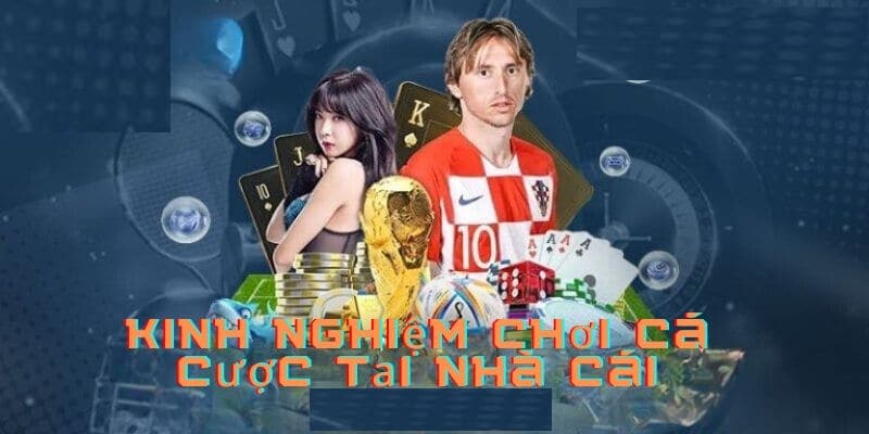 Đa dạng trò chơi giải trí cá cược